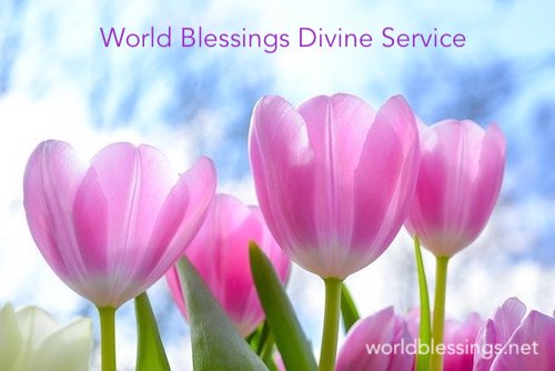 Divine Service Course