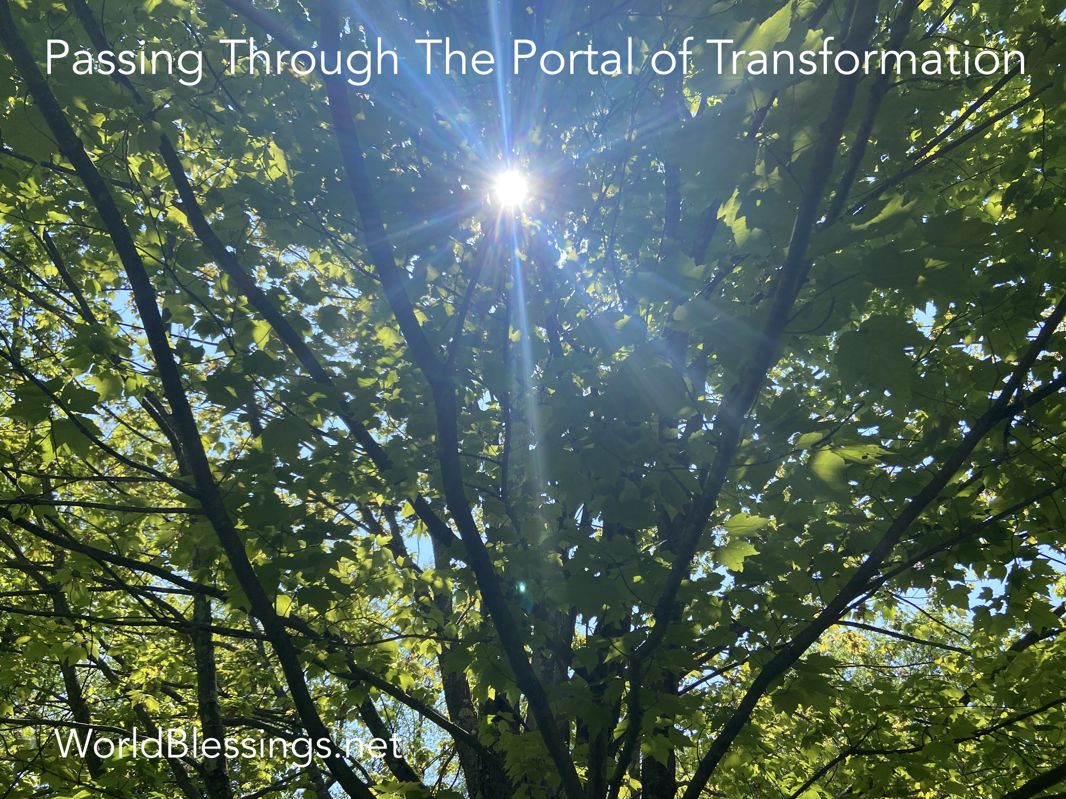 Passing Through the Portal of Transformation