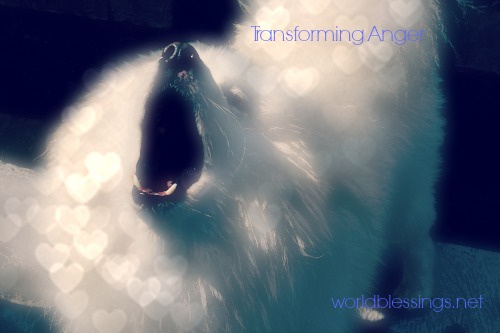 Transforming and Releasing Anger