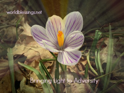 Bringing Light to Adversity