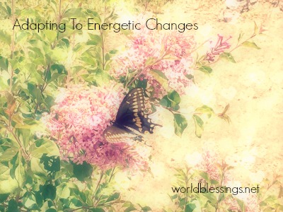 Adapting to Energetic Shifts