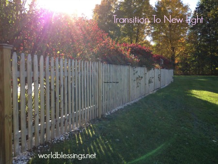 Transition Into New Light