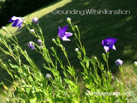 Grounding Within Transition
