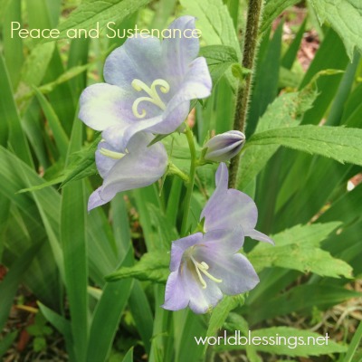 Meditation and Prayer for Peace and Sustenance