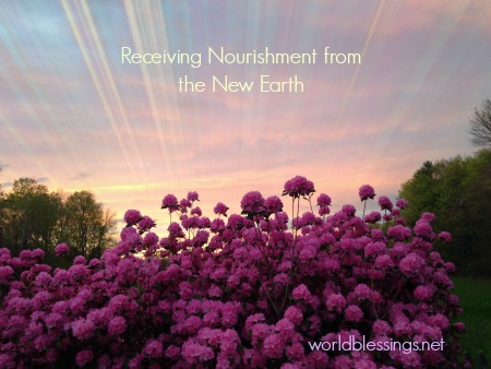 Receiving Nourishment from the New Earth