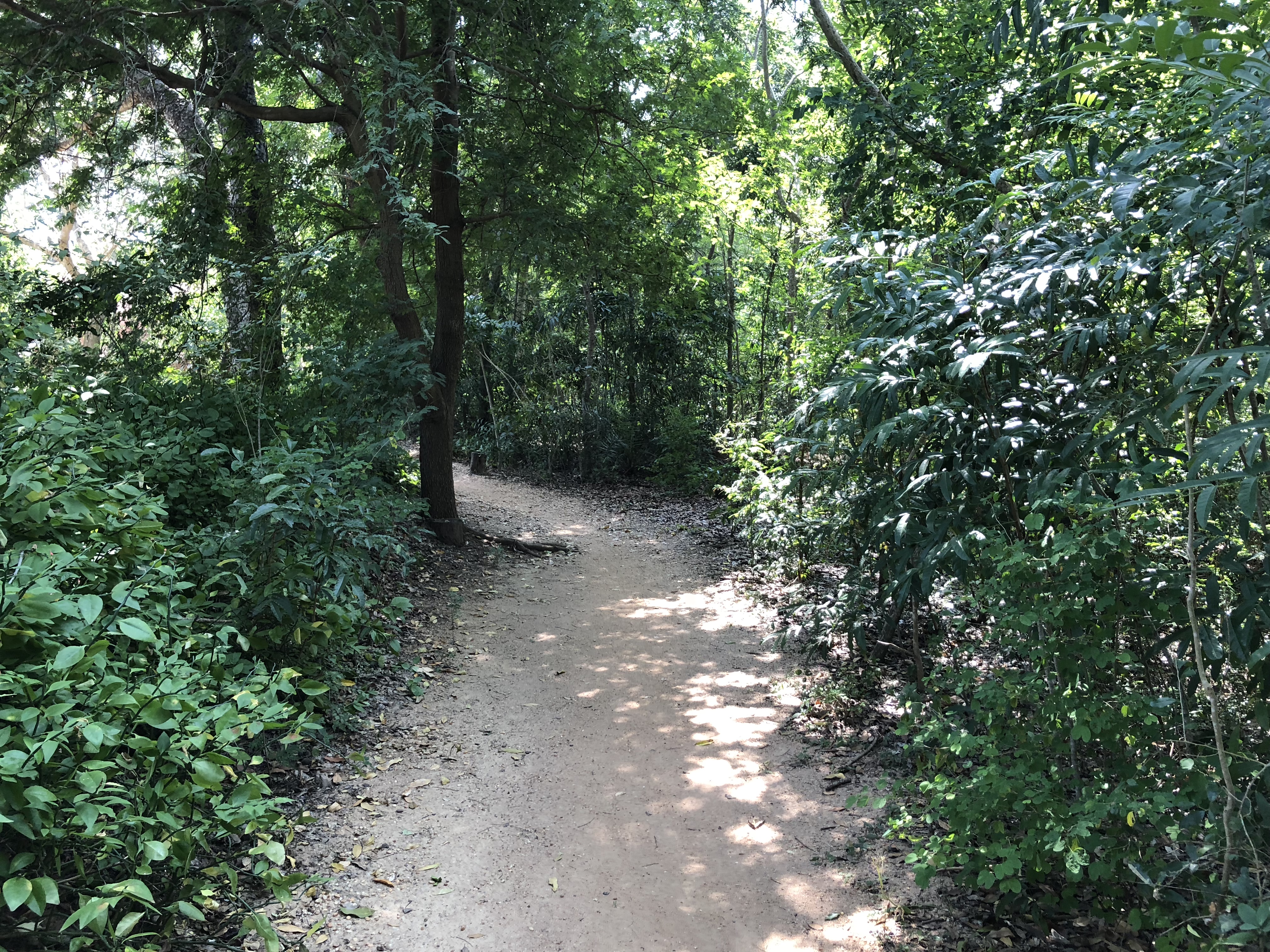 The Opening of New Pathways