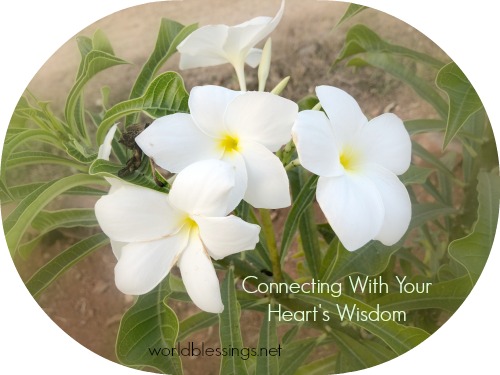Meditation to Connect With Your Heart&##x27;s Wisdom