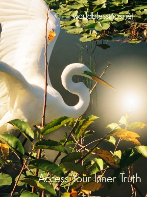 Meditation to Access Inner Truth