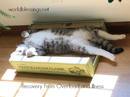 Meditation for Recovery from Overload or Illness